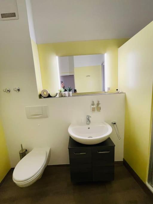 Fewo 20 - Appartement Im Rottalblick - Youngmodern Wohnen Mit Bademantelgang Zur Therme, Tv, Balkon Und Persoenlichem Gaesteempfang Von Astarte Estate Бад-Грісбах Екстер'єр фото